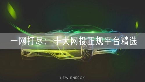 一网打尽：十大网投正规平台精选