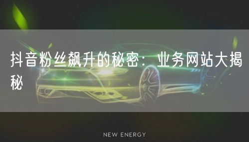 抖音粉丝飙升的秘密：业务网站大揭秘