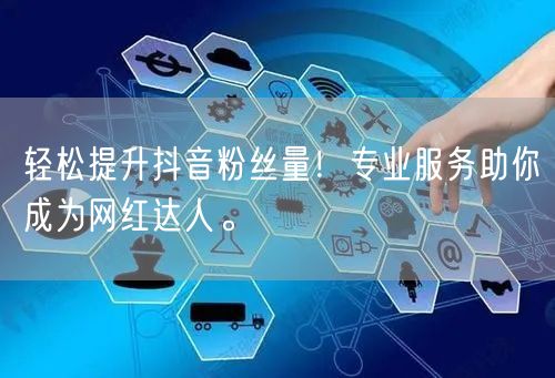 轻松提升抖音粉丝量！专业服务助你成为网红达人。