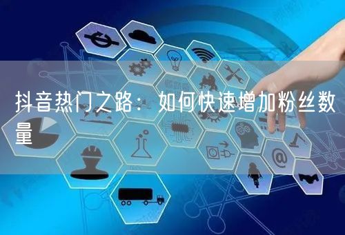 抖音热门之路：如何快速增加粉丝数量
