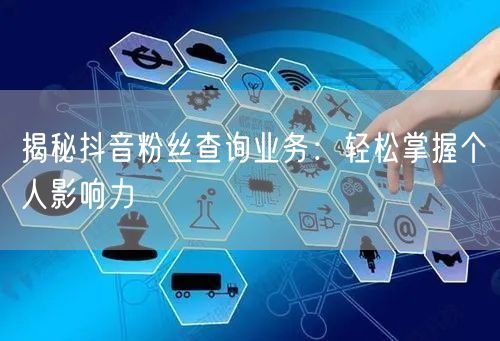 揭秘抖音粉丝查询业务：轻松掌握个人影响力