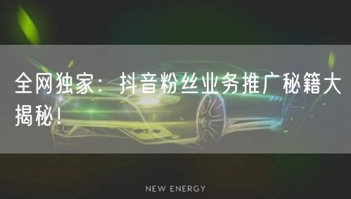 全网独家：抖音粉丝业务推广秘籍大揭秘！