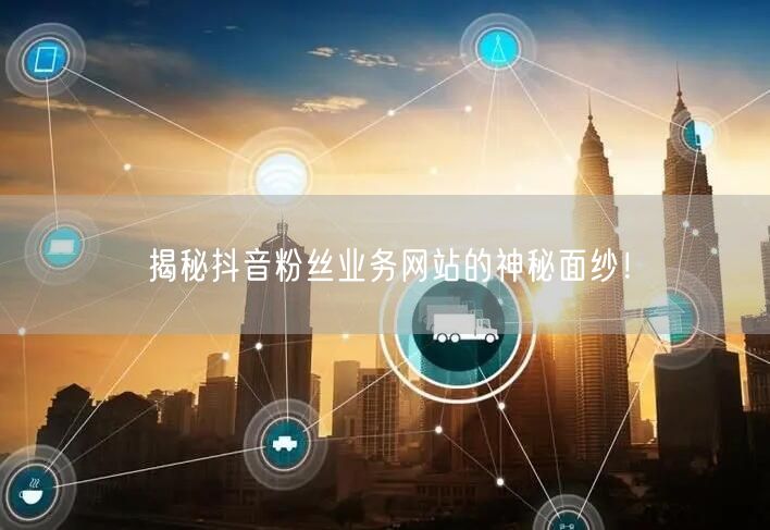 揭秘抖音粉丝业务网站的神秘面纱！