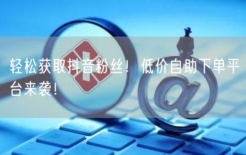 轻松获取抖音粉丝！低价自助下单平台来袭！