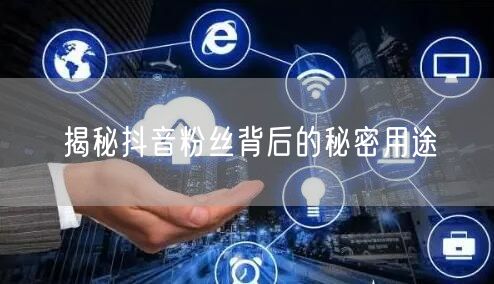 揭秘抖音粉丝背后的秘密用途
