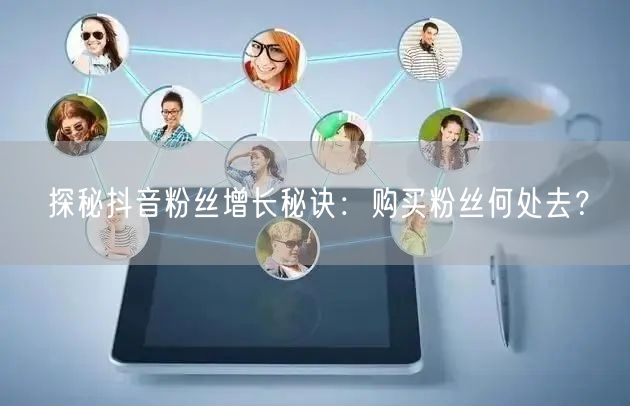 探秘抖音粉丝增长秘诀：购买粉丝何处去？