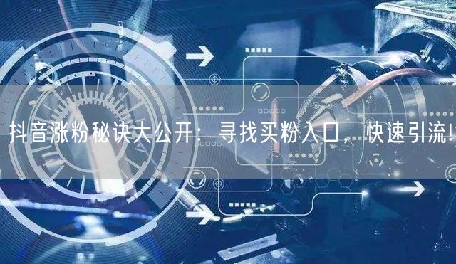 抖音涨粉秘诀大公开：寻找买粉入口，快速引