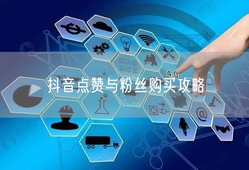 抖音点赞与粉丝购买攻略