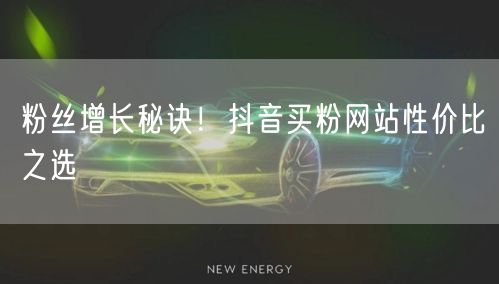 粉丝增长秘诀！抖音买粉网站性价比之选