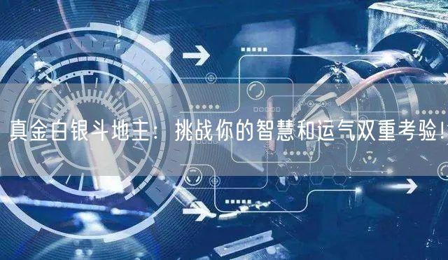 真金白银斗地主：挑战你的智慧和运气双重考验！