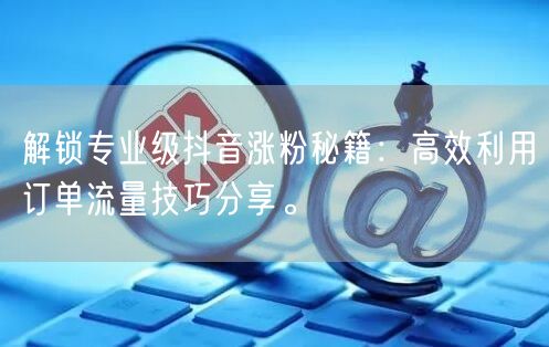 解锁专业级抖音涨粉秘籍：高效利用订单流量技巧分享。