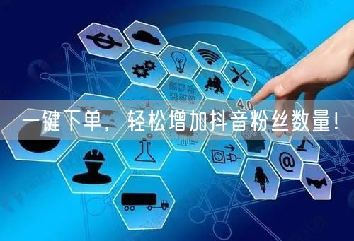一键下单，轻松增加抖音粉丝数量！