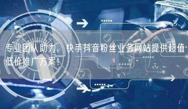 专业团队助力，快手抖音粉丝业务网站提供超值低价推广方案！