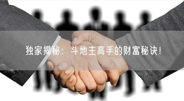 独家揭秘：斗地主高手的财富秘诀！