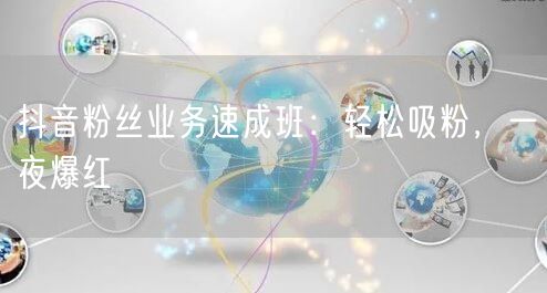 抖音粉丝业务速成班：轻松吸粉，一夜爆红