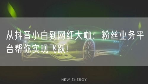 从抖音小白到网红大咖：粉丝业务平台帮你实现飞跃!