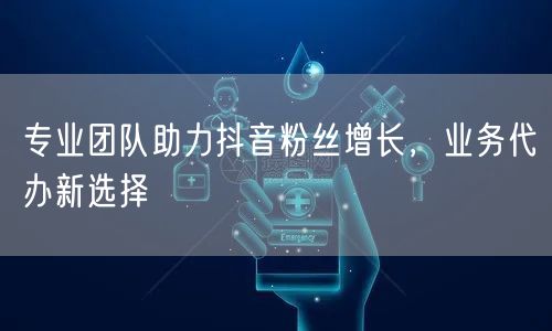 专业团队助力抖音粉丝增长，业务代办新选择