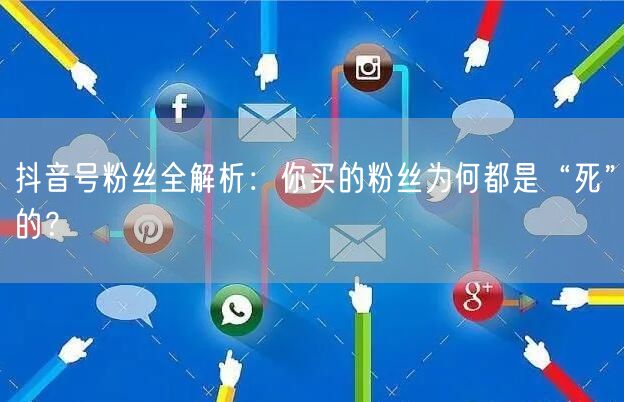 抖音号粉丝全解析：你买的粉丝为何都是“死”的？