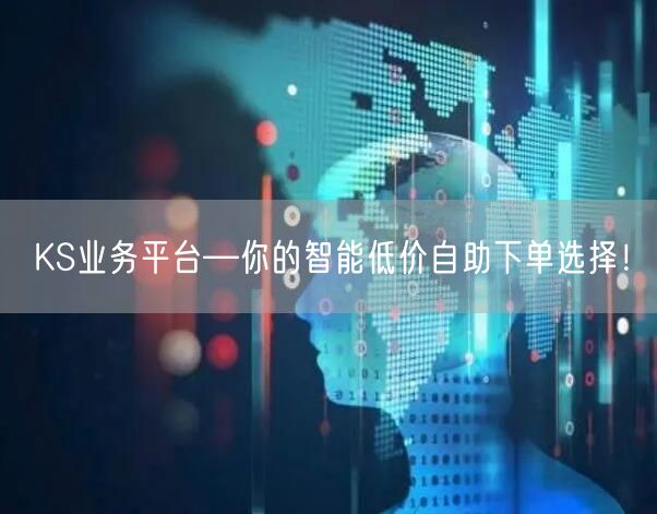 KS业务平台—你的智能低价自助下单选择！