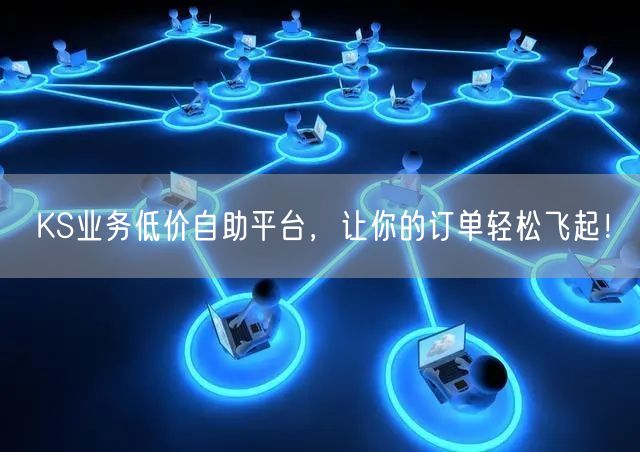 KS业务低价自助平台，让你的订单轻松飞起！
