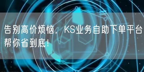 告别高价烦恼，KS业务自助下单平台帮你省到底！