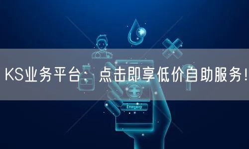 KS业务平台：点击即享低价自助服务！