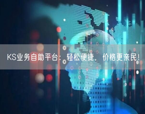 KS业务自助平台：轻松便捷，价格更亲民！