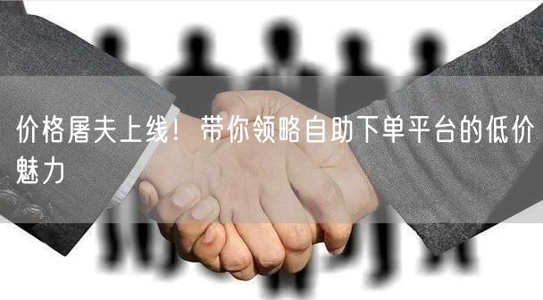 价格屠夫上线！带你领略自助下单平台的低价