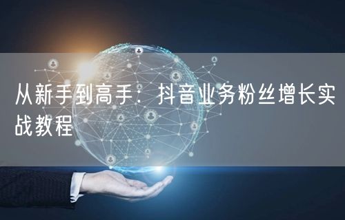 从新手到高手：抖音业务粉丝增长实战教程