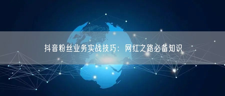 抖音粉丝业务实战技巧：网红之路必备知识