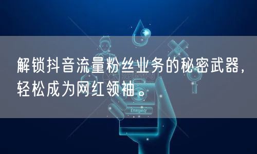 解锁抖音流量粉丝业务的秘密武器，轻松成为网红领袖。