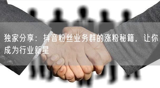 独家分享：抖音粉丝业务群的涨粉秘籍，让你成为行业新星