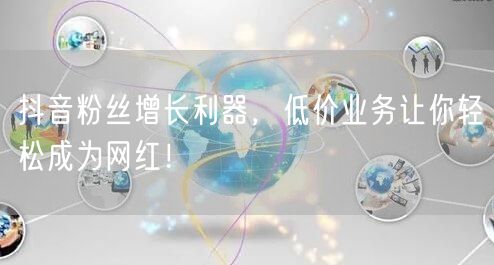 抖音粉丝增长利器，低价业务让你轻松成为网红！