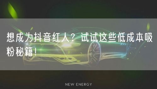 想成为抖音红人？试试这些低成本吸粉秘籍！