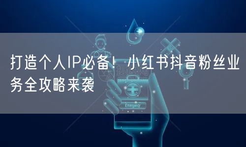 打造个人IP必备！小红书抖音粉丝业务全攻略来袭