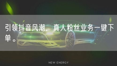 引领抖音风潮，真人粉丝业务一键下单。