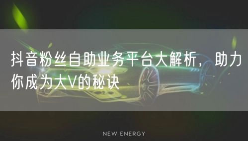 抖音粉丝自助业务平台大解析，助力你成为大V的秘诀