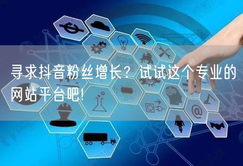 寻求抖音粉丝增长？试试这个专业的网站平台吧!