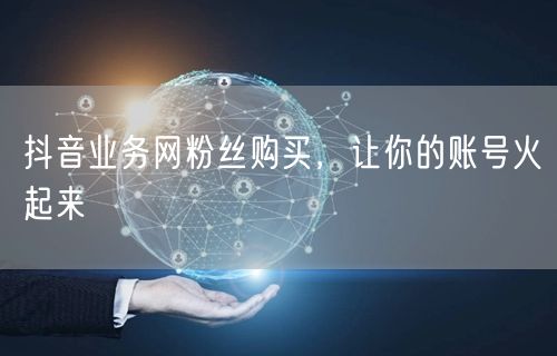 抖音业务网粉丝购买，让你的账号火起来