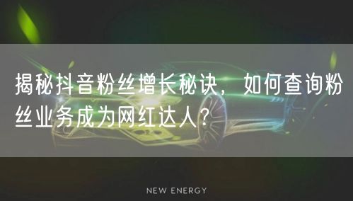 揭秘抖音粉丝增长秘诀，如何查询粉丝业务成为网红达人？