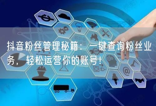 抖音粉丝管理秘籍：一键查询粉丝业务，轻松运营你的账号！
