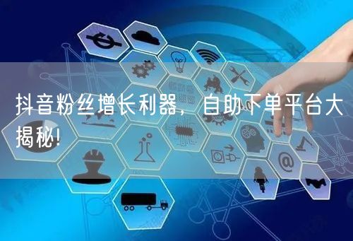 抖音粉丝增长利器，自助下单平台大揭秘!