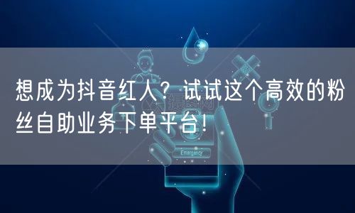 想成为抖音红人？试试这个高效的粉丝自助业务下单平台！