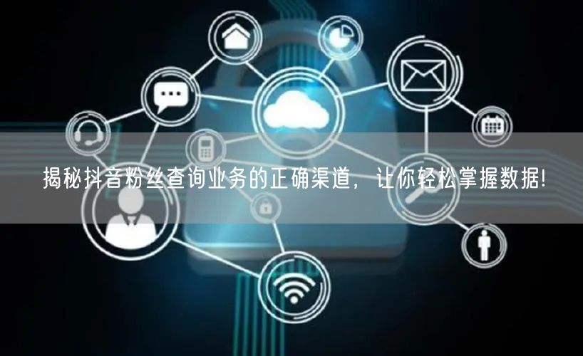揭秘抖音粉丝查询业务的正确渠道，让你轻松掌握数据!