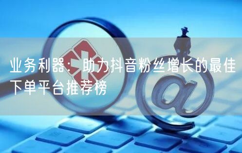 业务利器：助力抖音粉丝增长的最佳下单平台推荐榜