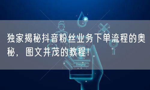 独家揭秘抖音粉丝业务下单流程的奥秘，图文并茂的教程！