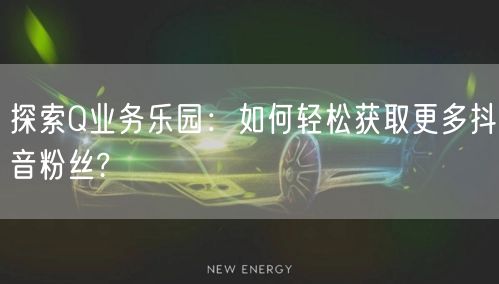 探索Q业务乐园：如何轻松获取更多抖音粉丝?