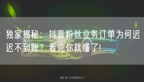 独家揭秘：抖音粉丝业务订单为何迟迟不到账