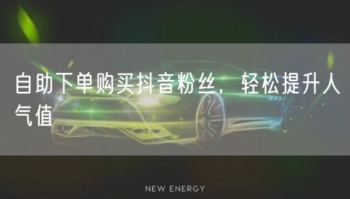自助下单购买抖音粉丝，轻松提升人气值