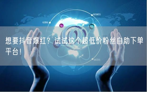 想要抖音爆红？试试这个超低价粉丝自助下单